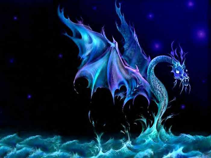 Dragon4